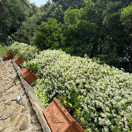 Delle Sughere Willa Punta Ala